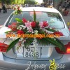 xe hoa tong trang do - duoi xe.jpg